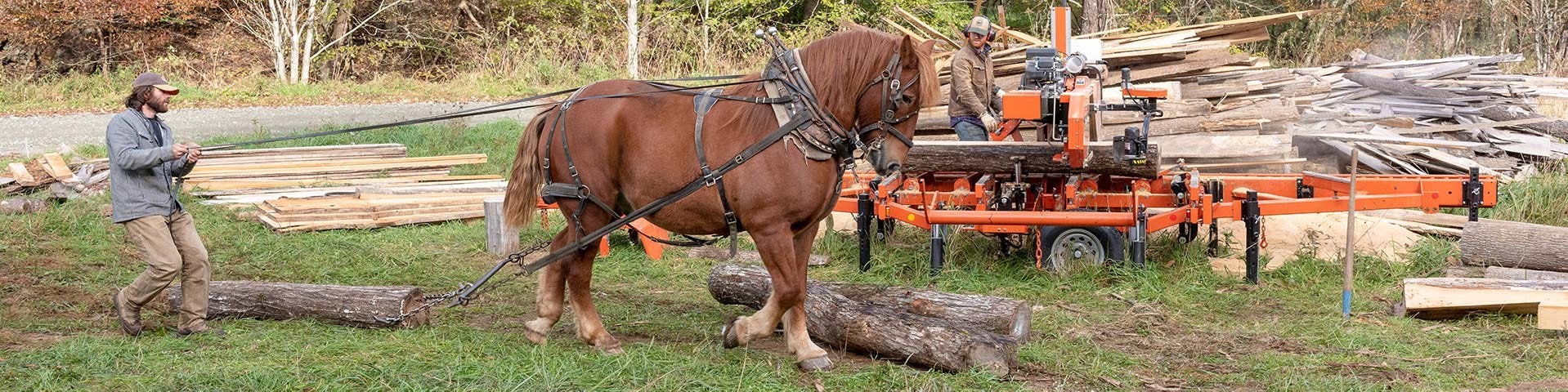 Sawmilling and Horse Logging in Western North Carolina