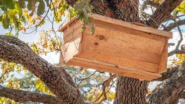 One LT15 Produces Timber for 50,000 Beehives in Zambia