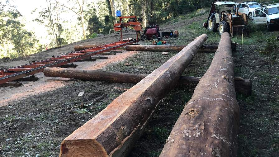 Portable sawmill and logs