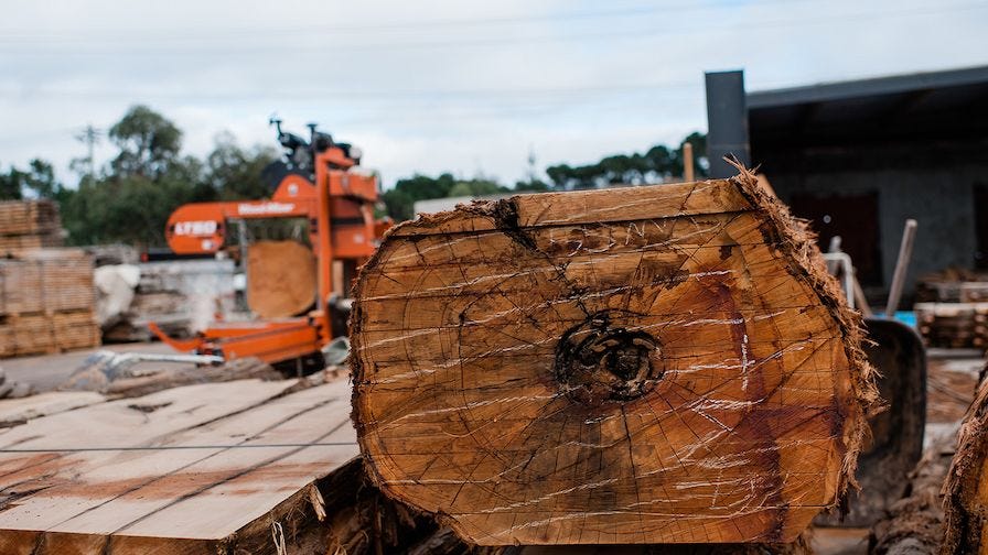 The Wood Project sawed log