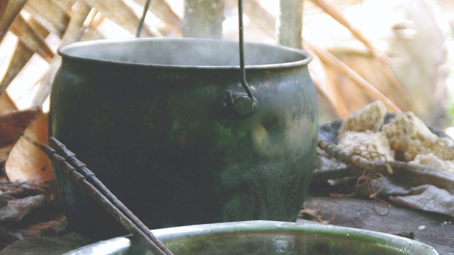 Breakfast in the jungle