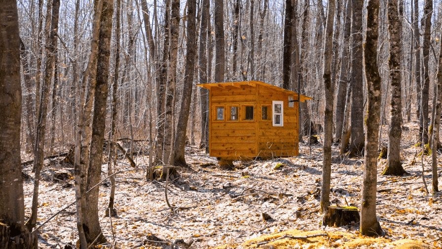 Backwoods Lumber small shed