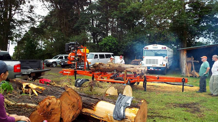 Wood-Mizer Employees Sawing with Portable Sawmill