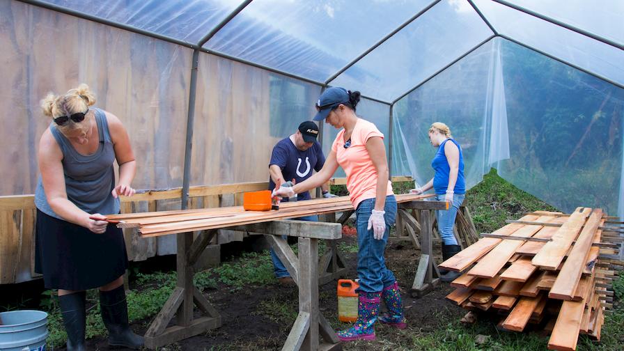 Wood-Mizer Employees Preparing Lumber