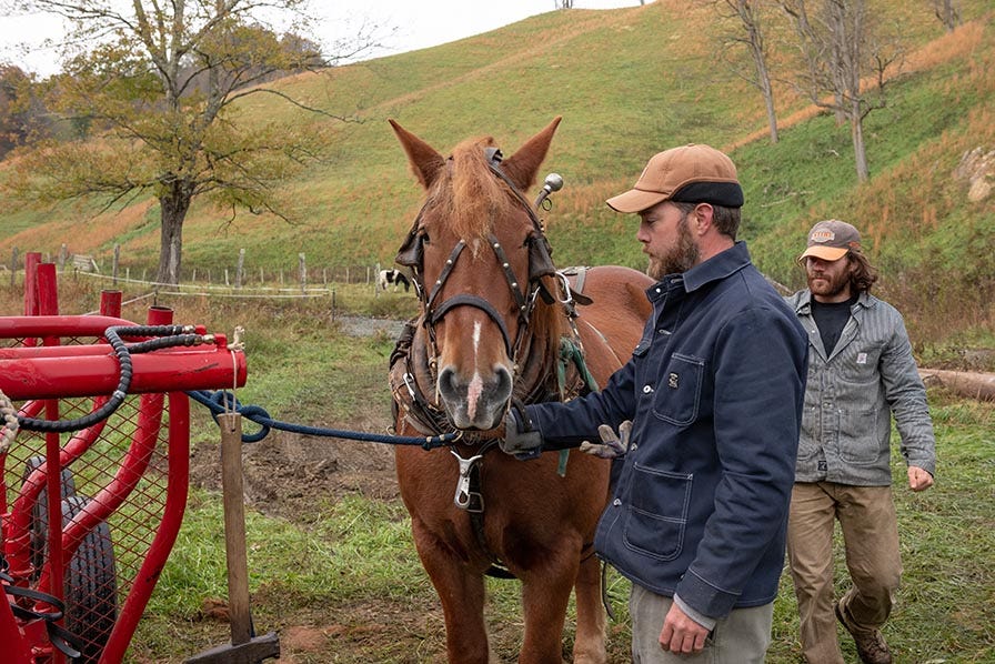 Mountain Works owners with horse used for sustainable horse logging 