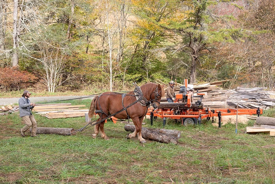 Mountain Works at sawmill site guiding horse to carry logs