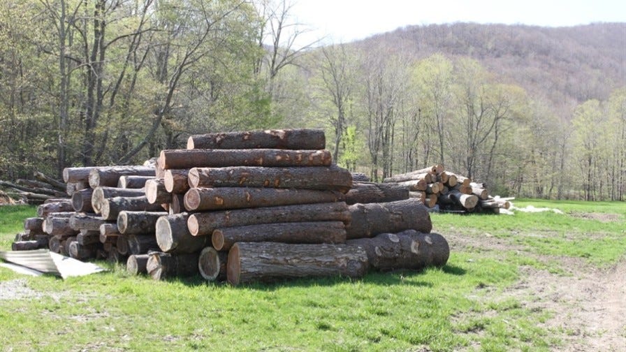 Pile of stacked logs