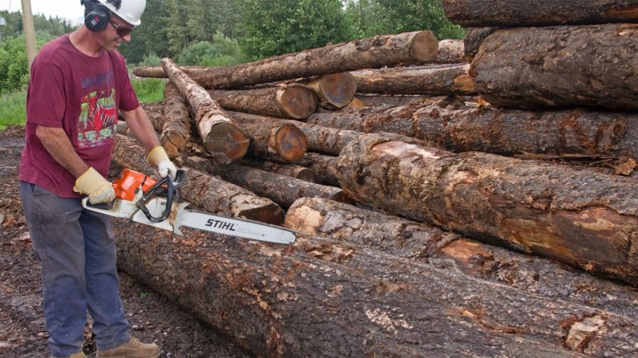 Morris sawmill log yard